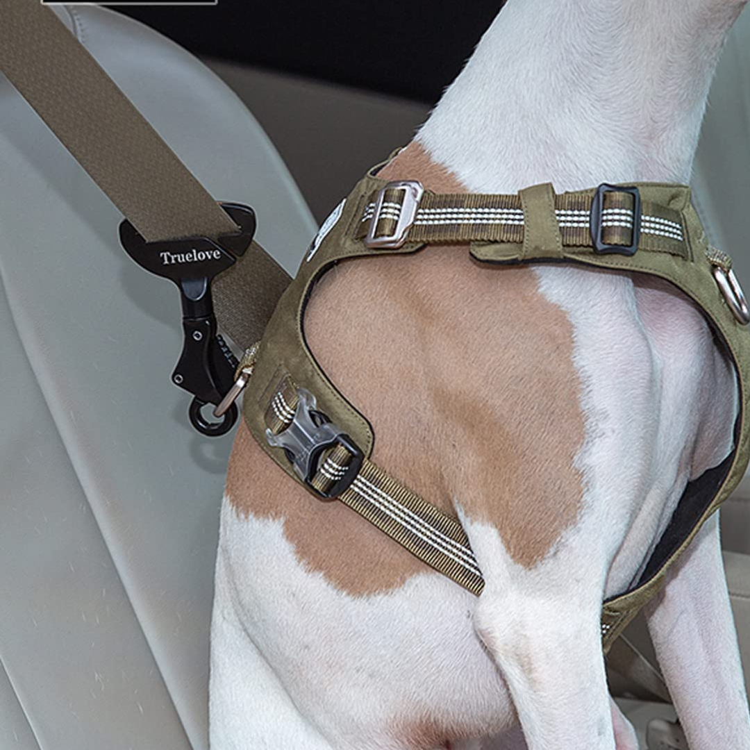 Ride Along Seatbelt for Dogs!